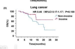 Lung cancer ICI plus inosine
