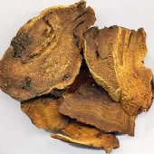 Chinese_Rhubarb_Root_1024x1024@2x