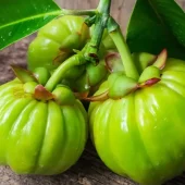 Garcini cambogia