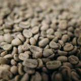 Green coffee beans