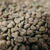 Green coffee beans