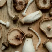 Mushrooms new