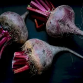 beet_root