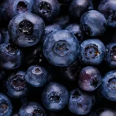 blueberry_new