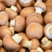 mushrooms