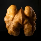 single walnut