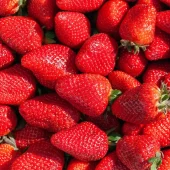 strawberries new
