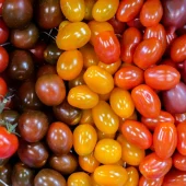 tomatos