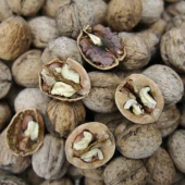 walnuts new